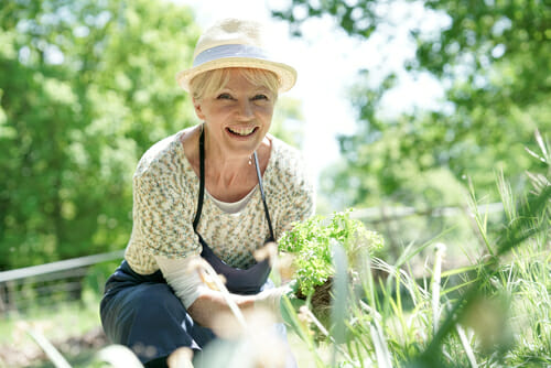 Woman gardening in yard 